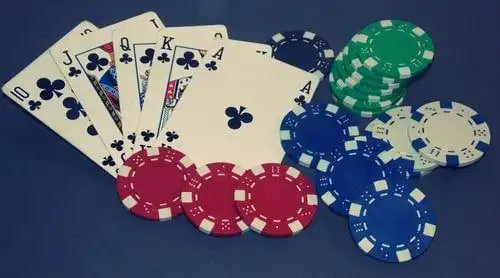 567bet